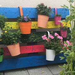 colorful flower pots