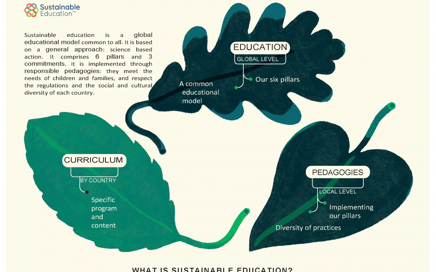 L'arbre de l'éducation durable 2